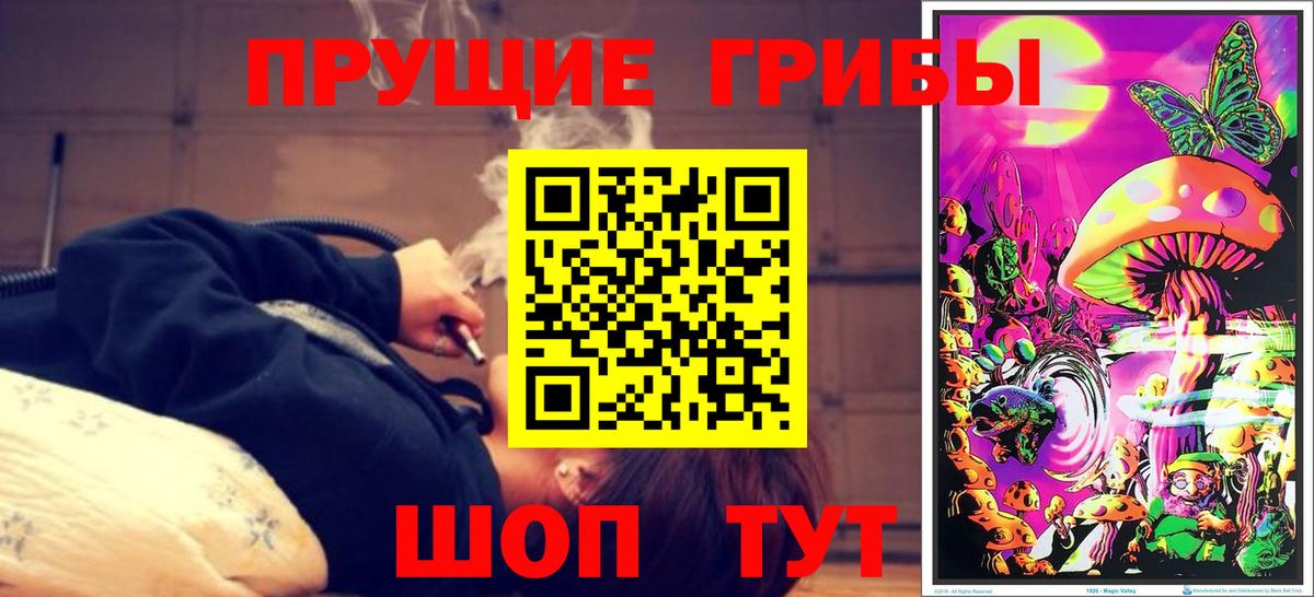 Псилоцибиновые грибы Psilocybe  Вход с VPN  Нягань 