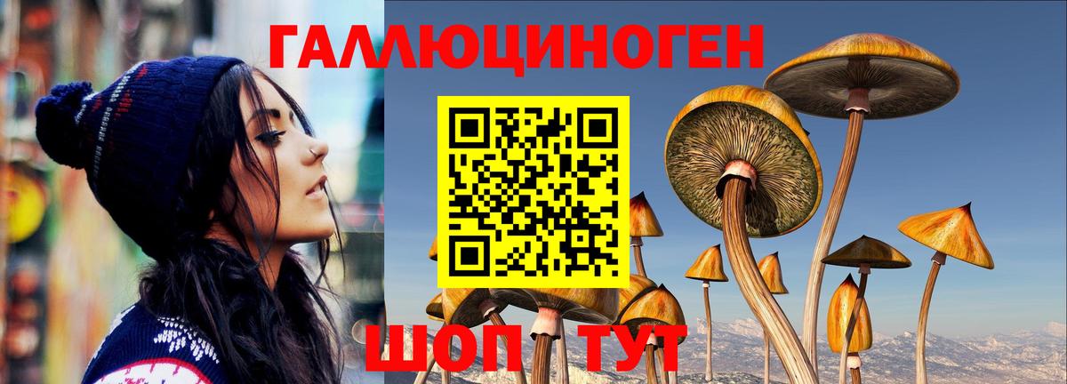 Галлюциногенные грибы Cubensis Нягань